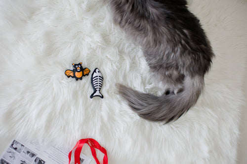 Bat & Fish Skeleton Halloween Cat Toys, Set of 2