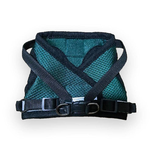 The Emerald Explorer Green Cat Harness & Leash Set