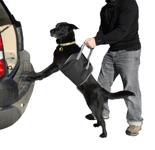 Outward Hound PupBoost Lift Dog Harness Black, Grey /11 in, One Size