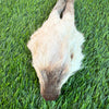 Rabbit Head (Whole) - Dehydrated for Dogs