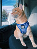 The Groovy Cat Tie Dye Limited Edition Harness & Leash Set