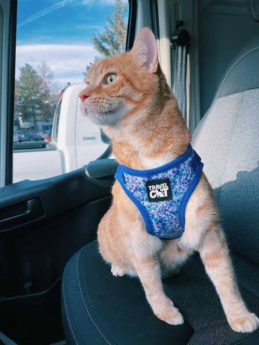 The Groovy Cat Tie Dye Limited Edition Harness & Leash Set