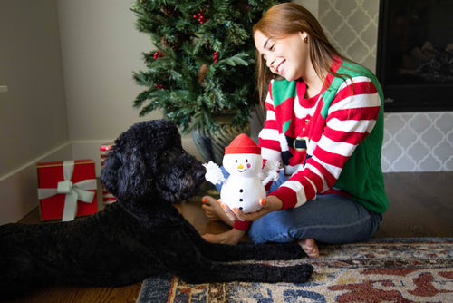 Snowman Plush Rope Christmas Dog Toy