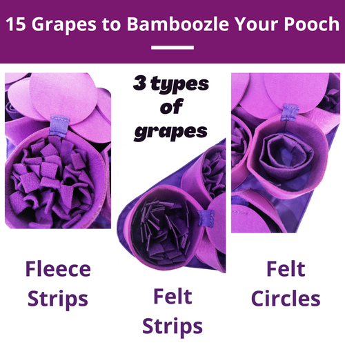 Forbidden Grapes ™ Snuffle Mat | Challenge Level 4