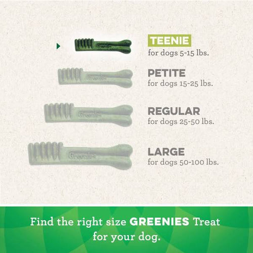 Greenies Fresh Teenie Dog Dental Treats - 12 oz