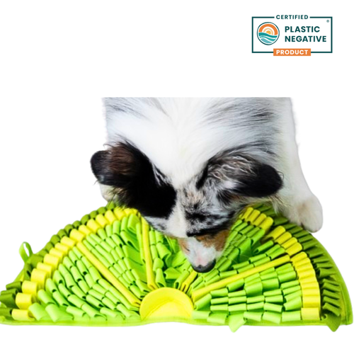 Zesty Lime™ Snuffle Mat | Challenge Level 2