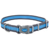 Pro Reflective Adjustable Nylon Dog Collar Bright Blue, Grey 3/4 In X 8-12 in