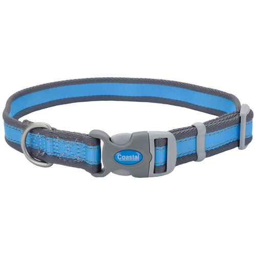 Pro Reflective Adjustable Nylon Dog Collar Bright Blue, Grey 3/4 In X 8-12 in
