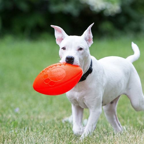 Jolly Pets JOLLY FOOTBALL (Orange)