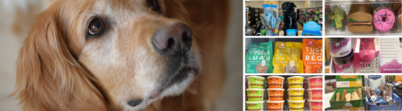 Close-up of a golden retriever with soft fur on the left, accompanied by a collage of pet products on the right, including natural dog treats shaped like cacti and donuts, premium dog food bags, frozen yogurt dog treats, and a display with a black dog in a store setting.