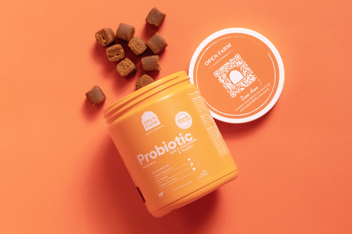 Open Probiotic Supplement Chews for Dogs