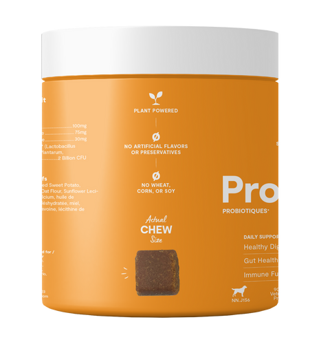 Open Probiotic Supplement Chews for Dogs