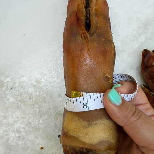 Pork Trotter/Pig Foot - 8-9 in - Long Lasting Chew For Dogs