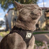 The True Adventurer Reflective Cat & Kitten Harness