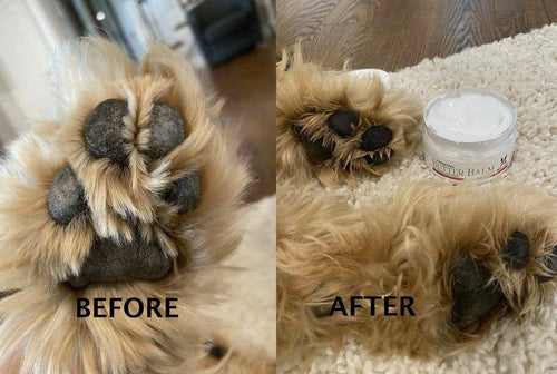 Hydrating Butter Balm for Nose & Paws - 4 oz