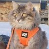 The True Adventurer Reflective Cat & Kitten Harness