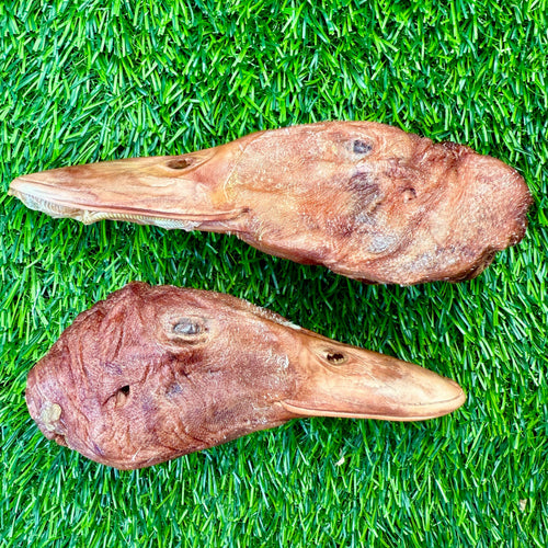 Duck Head - Freeze-Dried Treat/Chew for Dogs