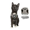 The True Adventurer Reflective Cat & Kitten Harness