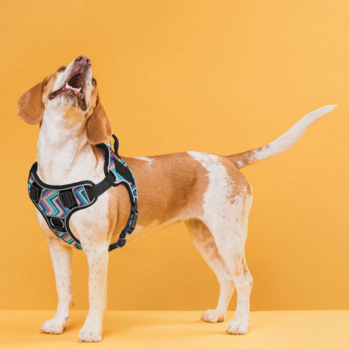 Dogline Quest Multi-Purpose Dog Harness