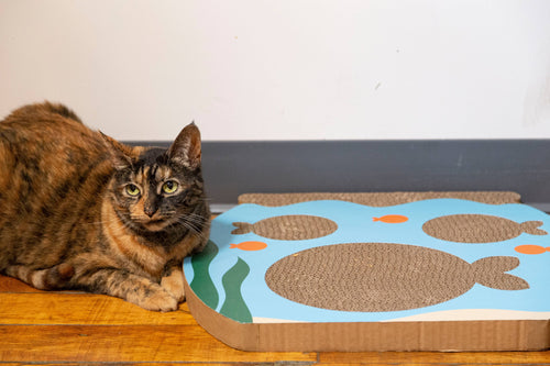 Fish Tank Cat Scratch Pad