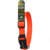 Remington Adjustable Patterned Dog Collar, Safety Orange, 1 x 14-20
