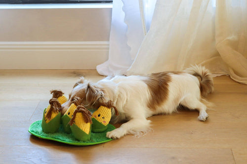 Corn Maze Snuffle Toy