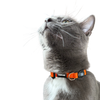 “The Travel Cat” Breakaway Cat Collar