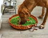 Forager® Bowl, Slow Feeder Bowls w/SoftSnout™