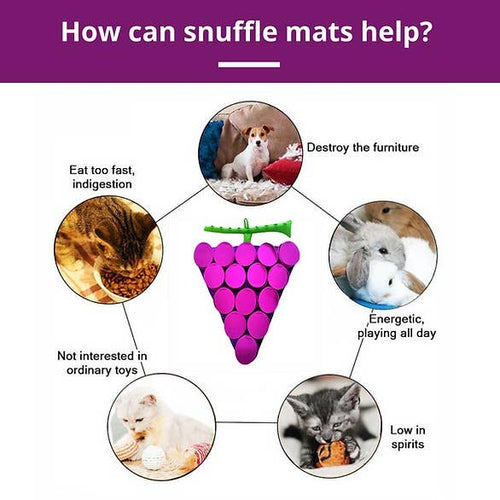 Forbidden Grapes ™ Snuffle Mat | Challenge Level 4