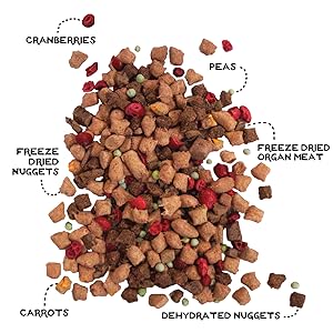THE SIMPLE FOOD PROJECT BEEF & SALMON RECIPE 6LB - SPECIAL ORDER