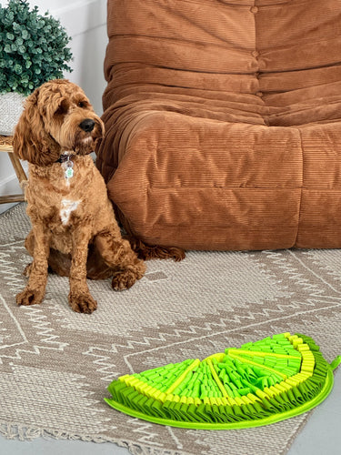 Zesty Lime™ Snuffle Mat | Challenge Level 2