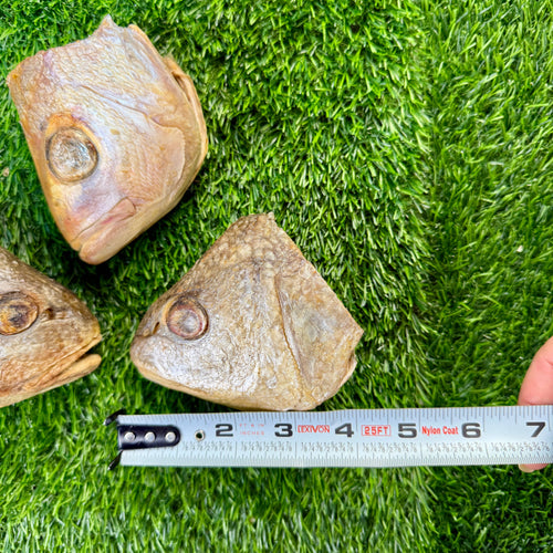 Fish Heads - Freeze Dried Treat/Chew for Dogs