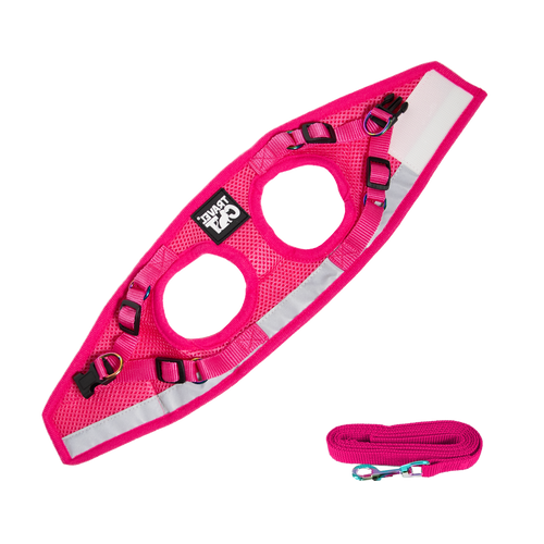 The Purrfectly Pink Iridescent Harness & Leash Set