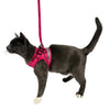 The Purrfectly Pink Iridescent Harness & Leash Set