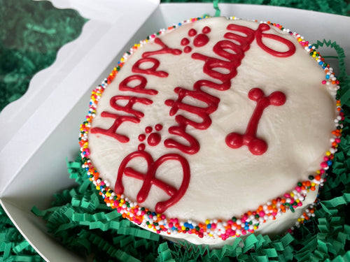 BIG Red‘s Birthday dog cake treat