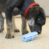 Kong Company Puppy Teeth Stick Medium Assorted