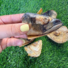 Fish Heads - Freeze Dried Treat/Chew for Dogs