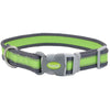 Pro Reflective Adjustable Nylon Dog Collar Bright Green, Grey 3/4 In X 10-14 in