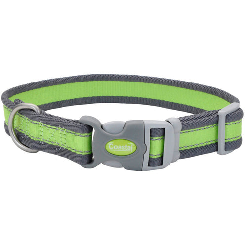 Pro Reflective Adjustable Nylon Dog Collar Bright Green, Grey 3/4 In X 10-14 in