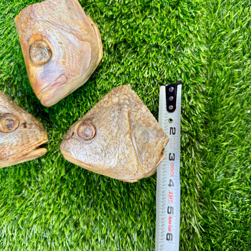Fish Heads - Freeze Dried Treat/Chew for Dogs