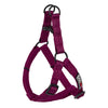 Nylon Flat Step-In Harness