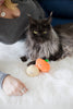 Gourds Fall Cat Toys, Set of 2