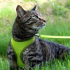 COASTAL Comfort Soft Adjustable Mesh Cat Harness and Leash Combo Lime 1ea/3/8 In X 14-16 in, Extra-Small