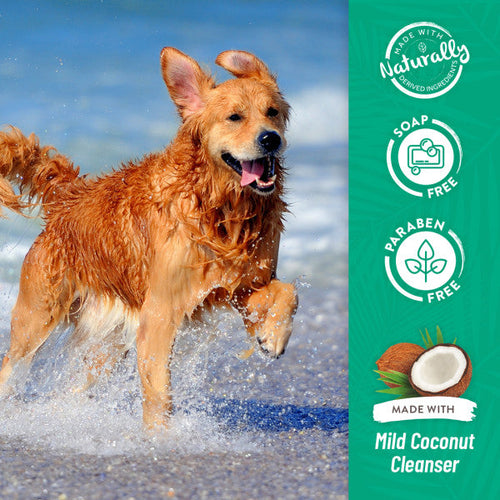 TropiClean Papaya & Coconut Luxury 2-in-1 Shampoo and Conditioner for Pets (20 oz)