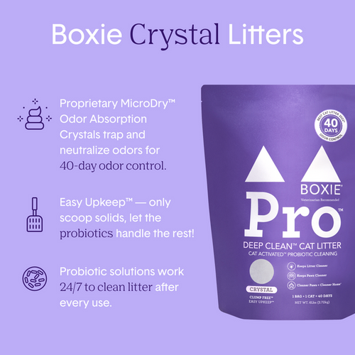 BoxiePro® Self-Cleaning Probiotic Crystal Non-Clumping Cat Litter (6 LB)