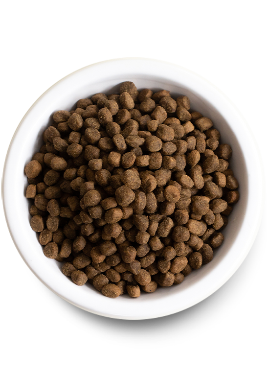 Open Farm Puppy Grain-Free Dry Dog Food