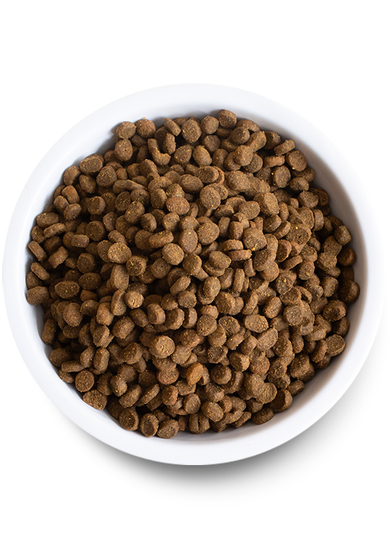 Open Wild-Caught Salmon Dry Cat Food