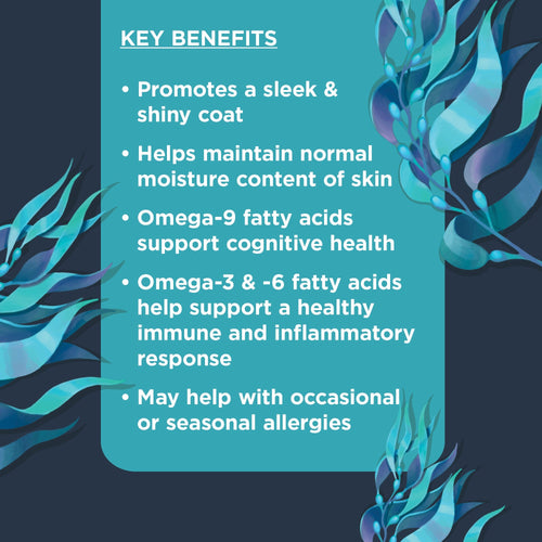 Nulo Superfood Omega Skin & Coat Soft Chew Supplement for Dogs