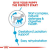 Royal Canin Small Puppy Dry Dog Food