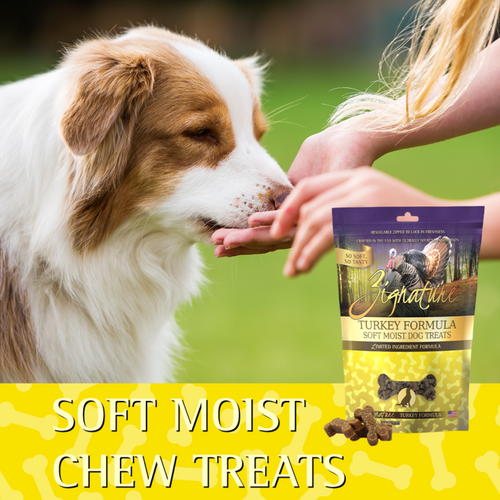 Zignature Turkey Soft Moist Treats for Dogs